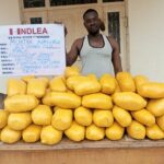 NDLEA
