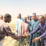 Food Security: Zulum announces 7 pilot irrigation schemes in Borno