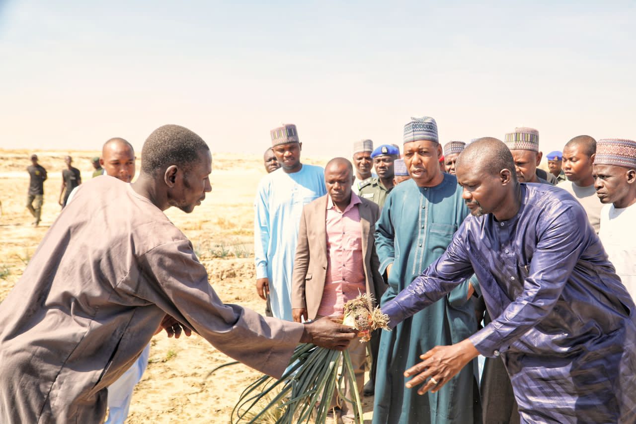 Food Security: Zulum announces 7 pilot irrigation schemes in Borno