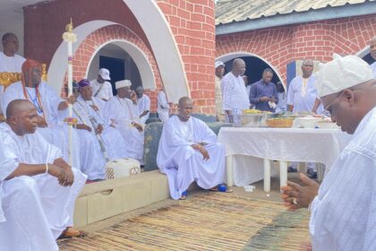 unveiling of OONI newborn twin